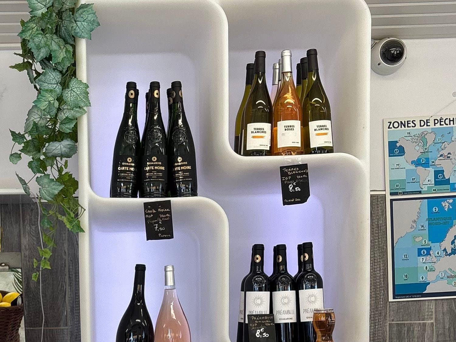 Étagère de vins blancs, rosés et rouges au magasin Midi Coquillages