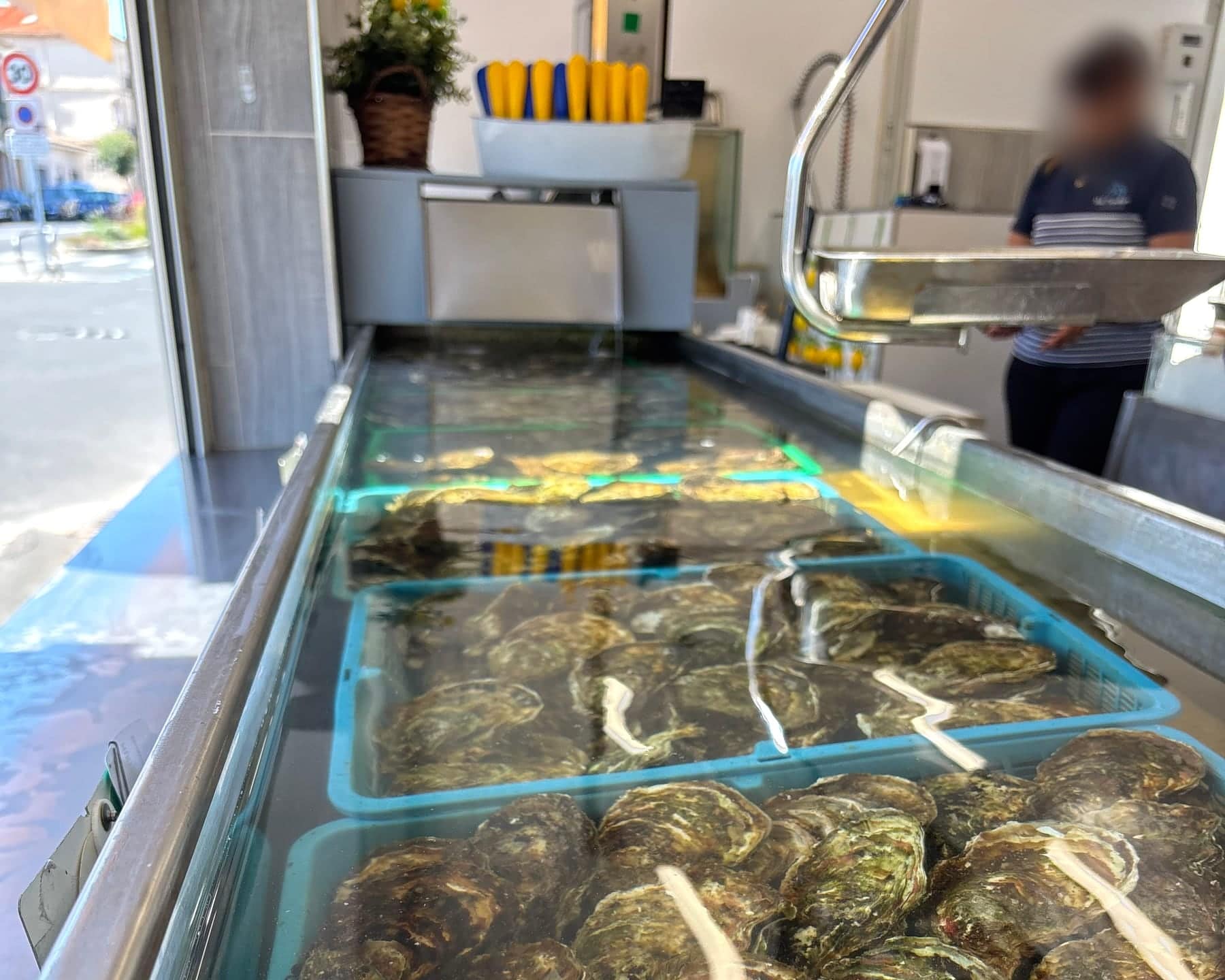 Vivier d'huîtres du magasin Midi Coquillages à Mèze, avec une vendeuse derrière le comptoir