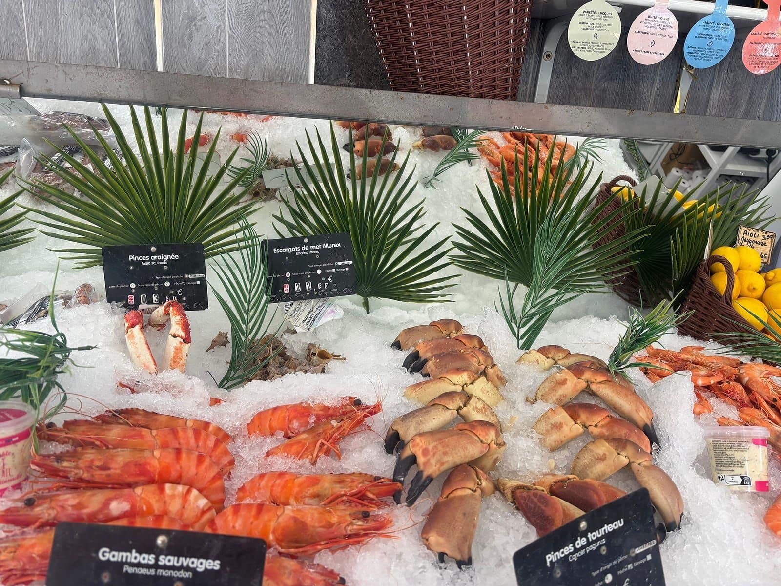 Étal de crustacés cuits sur glace : gambas, pinces de tourteau et pinces d'araignée